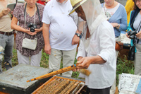 IMG_6738_sm