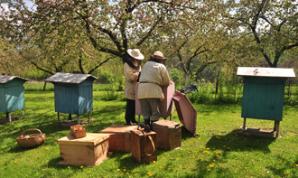 wyroznienia_weronika_czech_1_sm