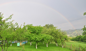 wyroznienia_weronika_czech_3_sm