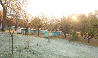 wyroznienia_weronika_czech_4_sm