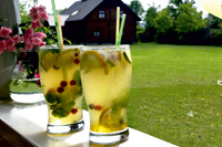 bartna_w10_sm