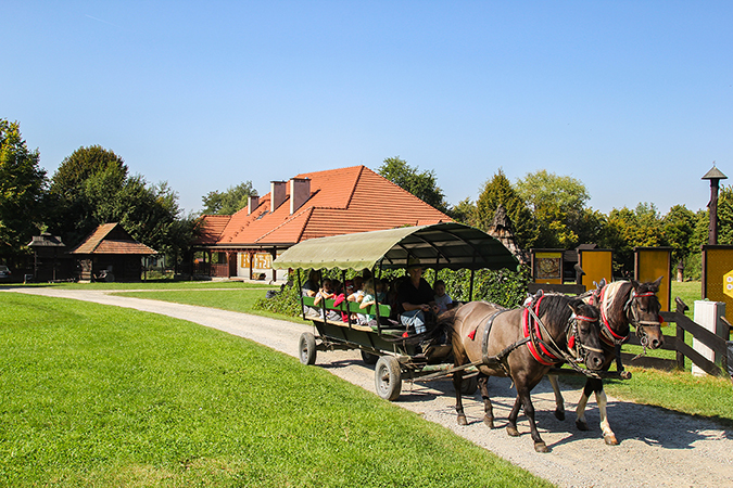 mala_pszczola_i_ja_przedszkole_4_sm