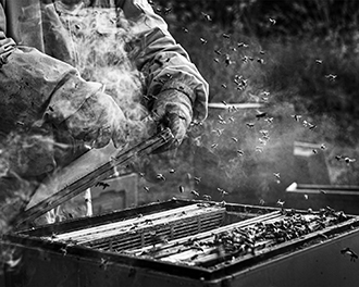 2_szymon_bialic_sm