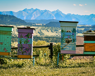 kinga_poreba_tatry_i_ule_sm