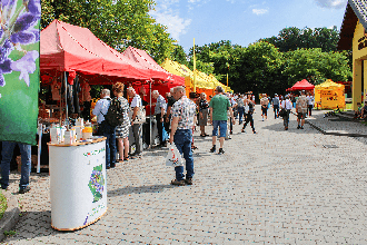 biesiada_2023_2_sm