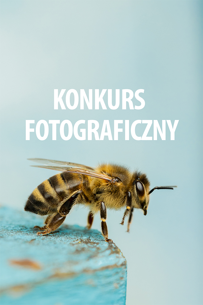 konkurs_2024_sm